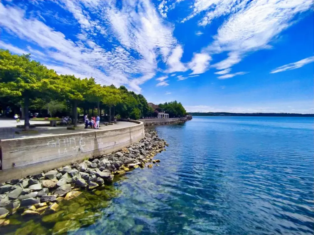 Panorama di Trevignano Romano e del Lago di Bracciano visti dall'alto
